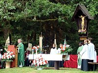 Anklicken f�r grosses Bild